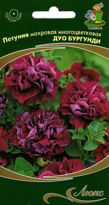 Петуния махровая многоцветковая ДУО БУРГУНДИ 10шт. (Поиск)