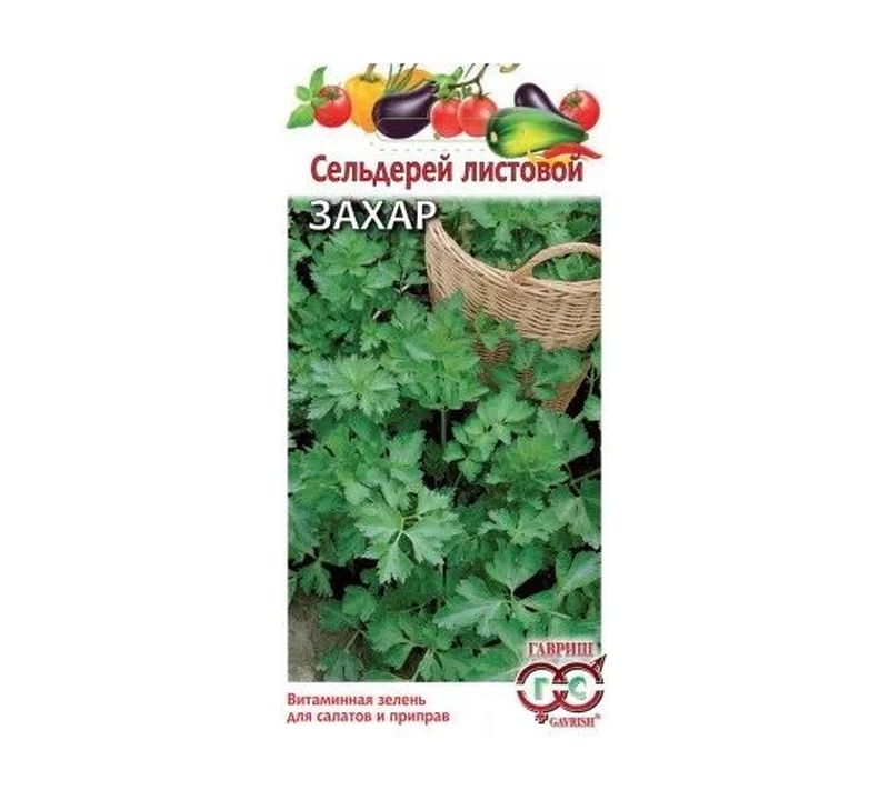 Сельдерей ЗАХАР (листовой) 0,1г. (Гавриш)