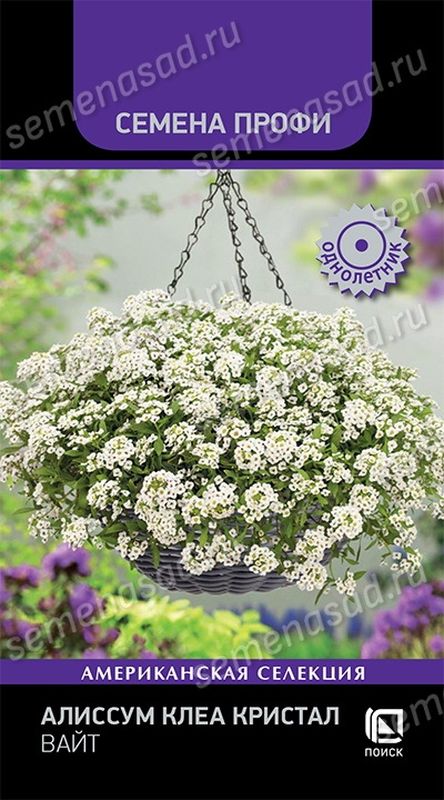Алиссум КЛЕА КРИСТАЛ ВАЙТ 20шт. (Поиск)