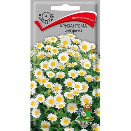 Хризантема СНЕГУРОЧКА (однолетник) 30 шт. Поиск