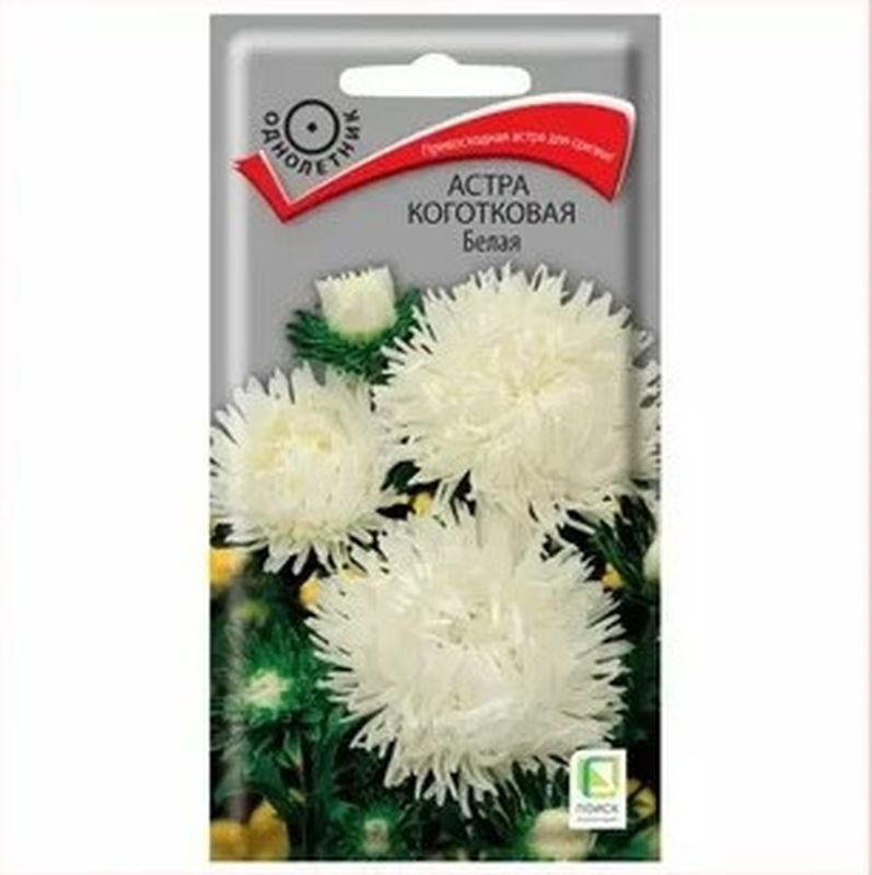 Астра Коготковая БЕЛАЯ 0,3гр. (Поиск)