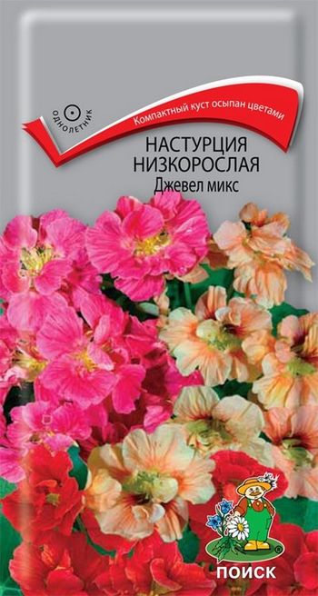 Настурция низкорослая ДЖЕВЕЛ микс 2,0гр. (Поиск)