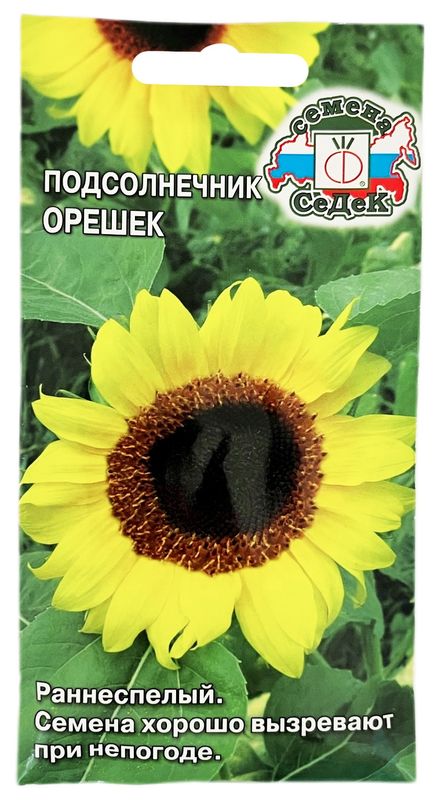 Подсолнечник ОРЕШЕК 5шт. (СеДек)