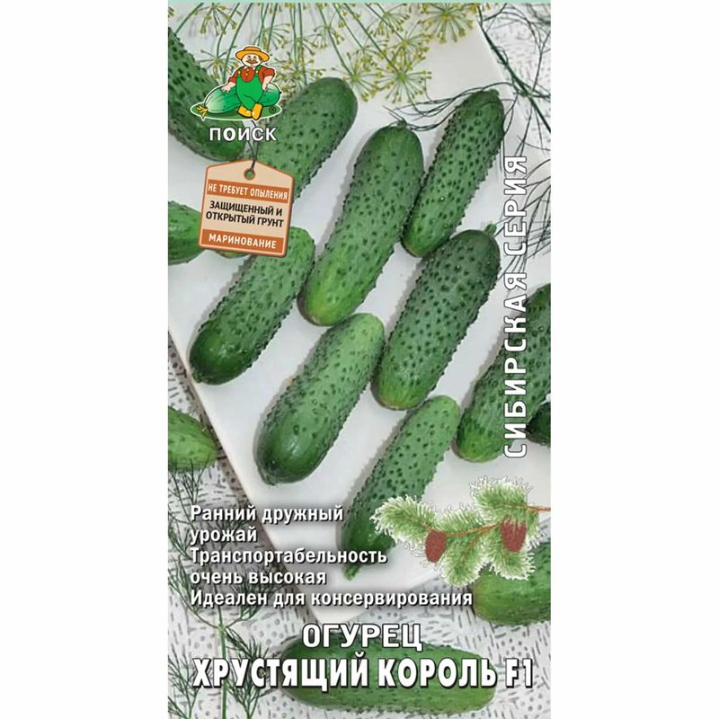 Огурец ХРУСТЯЩИЙ КОРОЛЬ F1 12шт. (Поиск)