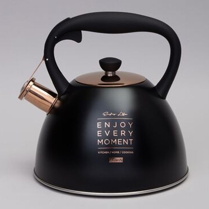 Чайник нерж. 914-157 3,0л. со свист. ВД