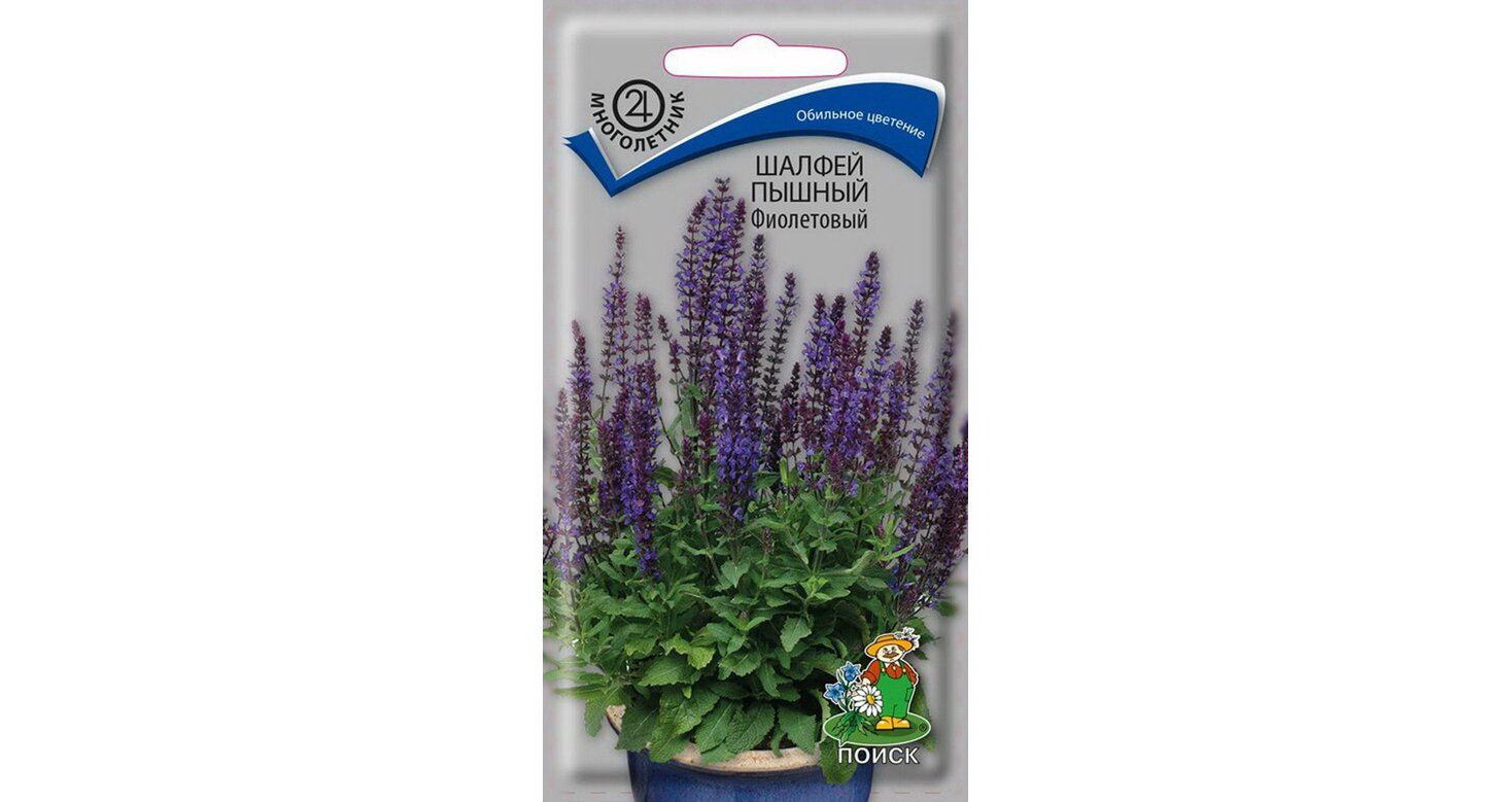 Шалфей дубравный пышный ФИОЛЕТОВЫЙ 0,1гр. (Поиск)