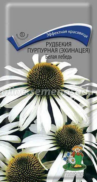 Рудбекия (Эхинацея) пурпурная БЕЛАЯ ЛЕБЕДЬ 0,1 гр. многолетник (Поиск)