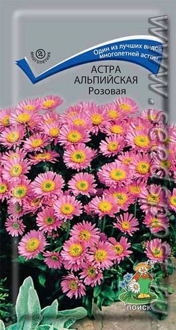 Астра АЛЬПИЙСКАЯ розовая 0,04гр. многолетник (Поиск)