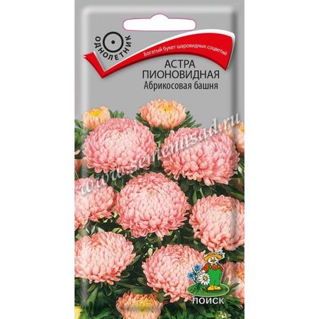 Астра Пионовидная Абрикосовая башня 0,3гр. (Поиск)
