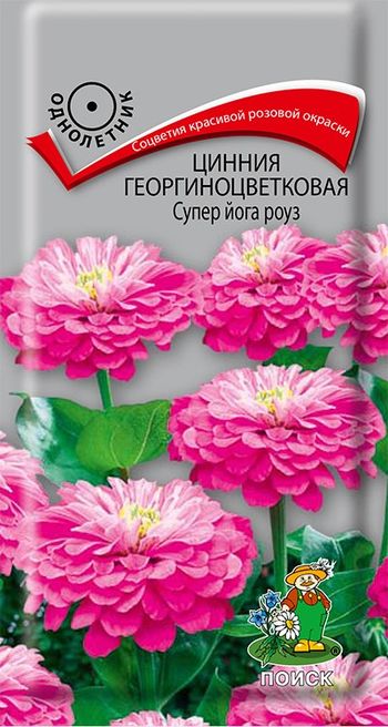 Цинния георгиноцветковая СУПЕР ЙОГА роуз 0,4гр. (Поиск)