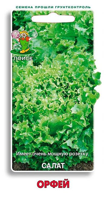 Салат ОРФЕЙ 1,0гр. (Поиск)