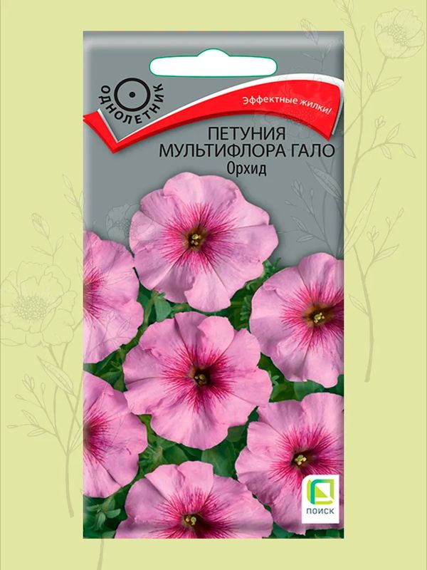 Петуния мультифлора ГАЛО ОРХИД 10шт. (Поиск)