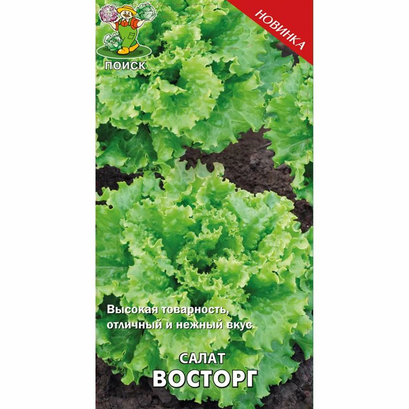 Салат ВОСТОРГ 1,0гр. (Поиск)