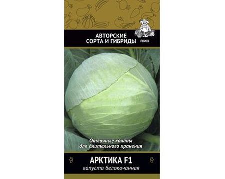 Капуста белокоч. АРКТИКА F1 0,2гр. (Поиск)