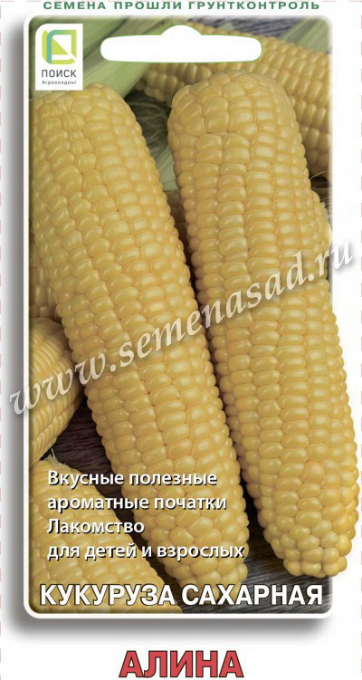 Кукуруза АЛИНА (сахарная) 5,0гр. (Поиск)