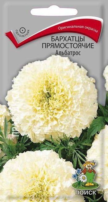 Бархатцы прямостоячие АЛЬБАТРОС 0,1гр. (Поиск)