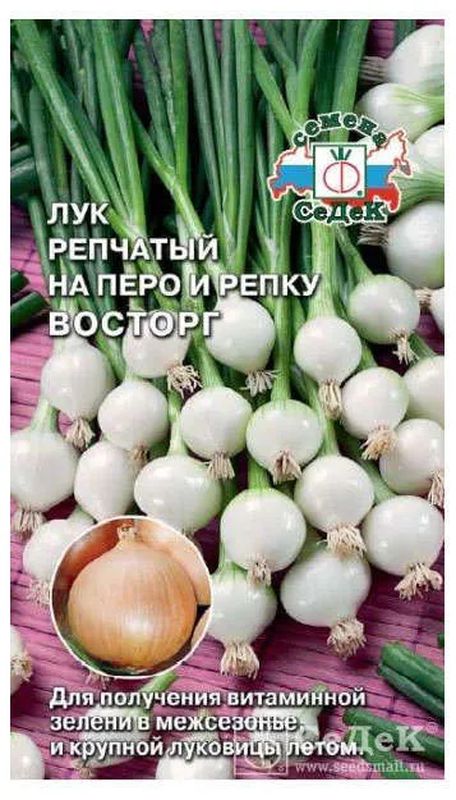 Лук репчатый ВОСТОРГ 0,5г. (СеДек)