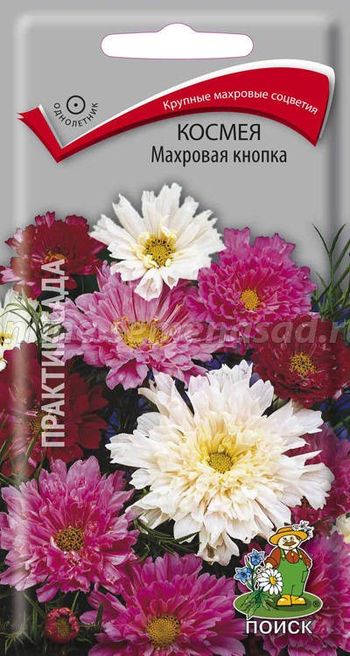 Космея Махровая КНОПКА 0,1гр. (Поиск)