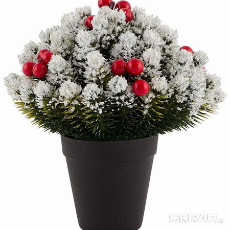 Елка заснеженная в горшке 007636 (14см) Скр.