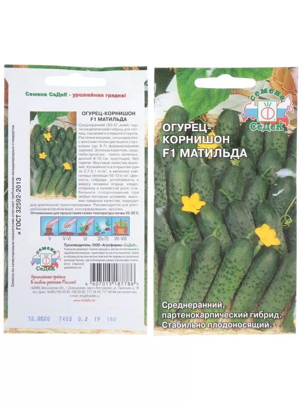 Огурец МАТИЛЬДА F1 0,2гр. (СеДек)