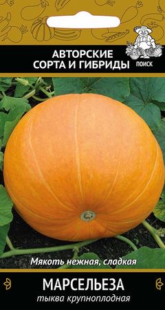 Тыква МАРСЕЛЬЕЗА крупноплодная 10шт. (Поиск)