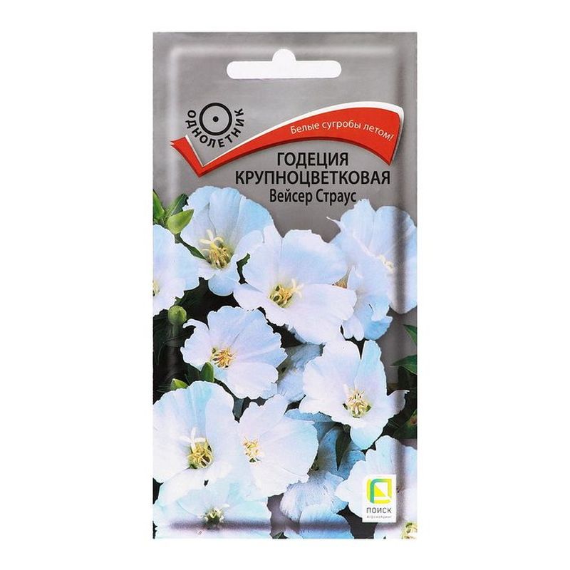 Годеция крупноцветковая ВЕЙСЕР СТРАУС 0,2гр. (Поиск)