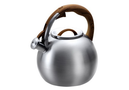 Чайник нерж. LARA LR00-82 4,5л. со свист.