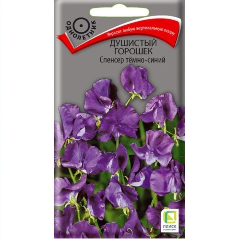 Душистый горошек СПЕНСЕР темно-синий 1,0гр. (Поиск)