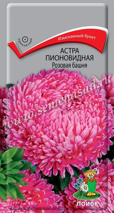 Астра Пионовидная РОЗОВАЯ БАШНЯ 0,3гр. (Поиск)