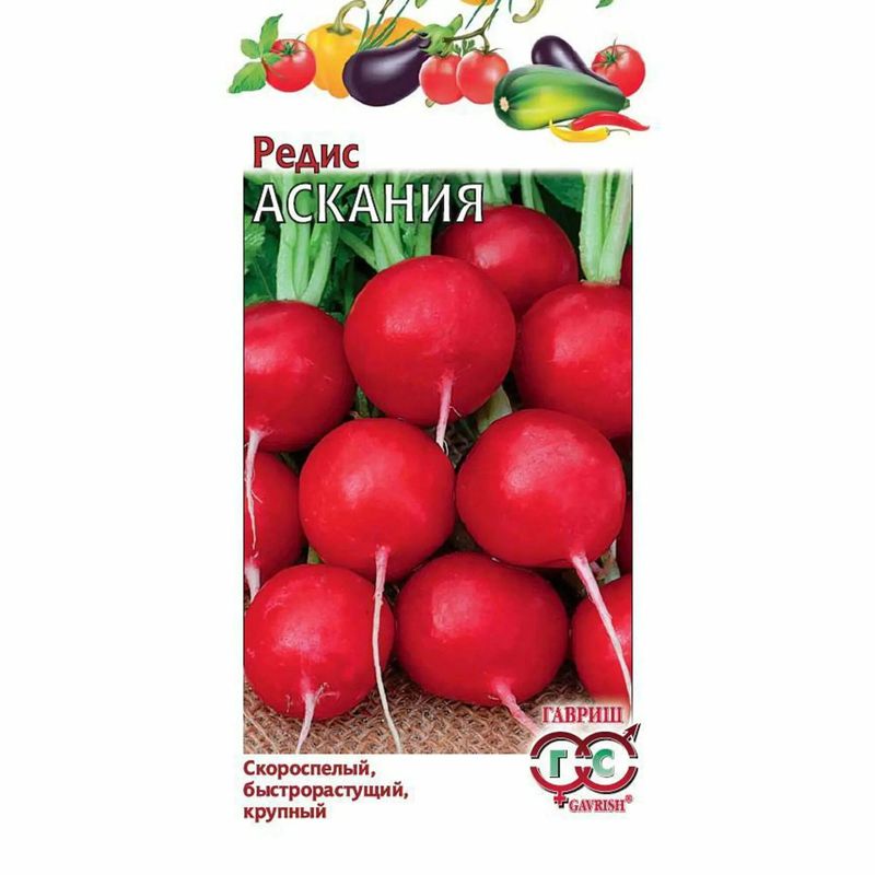 Редис АСКАНИЯ 2,0г. (Гавриш)