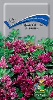 Седум ложный МАЛИНОВЫЙ 0,01гр. многолетник (Поиск)