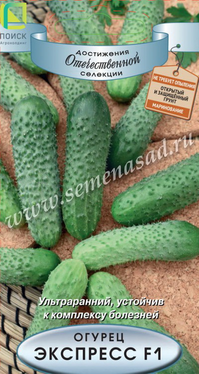 Огурец ЭКСПРЕСС F1 12шт. (Поиск)