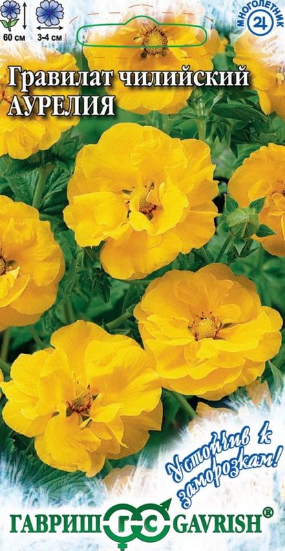 Гравилат чилийский АУРЕЛИЯ 0,05г. (Гавриш)