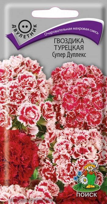 Гвоздика Турецкая СУПЕР ДУПЛЕКС 0,3гр. двулетник (Поиск)