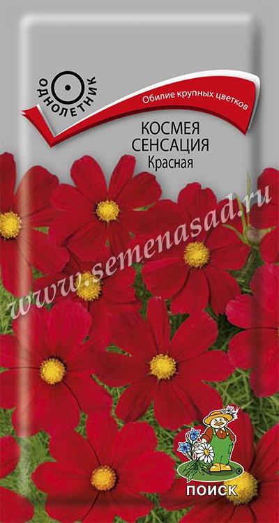 Космея СЕНСАЦИЯ 0,3гр. (Поиск)