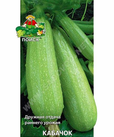 Кабачок БЕЛОГОР F1 12шт. (Поиск)