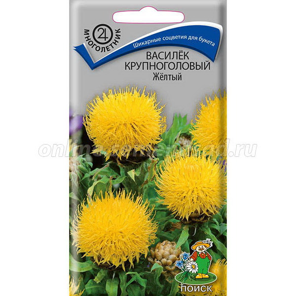 Василёк ЖЁЛТЫЙ крупноголовый 0,8гр. многолетник (Поиск)