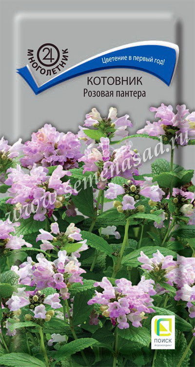 Котовник РОЗОВАЯ ПАНТЕРА 10шт. многолетник (Поиск)