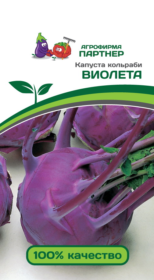Капуста кольраби ВИОЛЕТА 0,5гр. (Поиск)