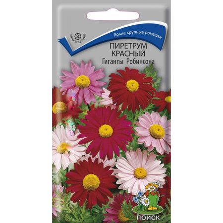 Пиретрум ГИГАНТЫ РОБИНСОНА красный 0,2гр. (Поиск)