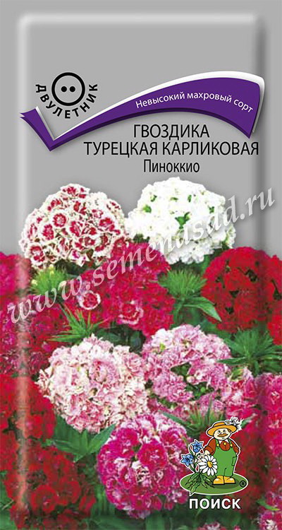 Гвоздика Турецкая карликовая ПИНОККИО 0,3гр. двулетник (Поиск)