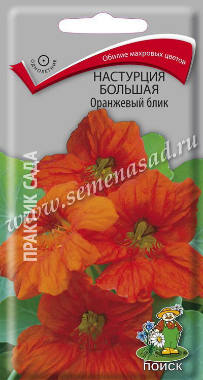 Настурция большая ОРАНЖЕВЫЙ БЛИК 1,0гр. (Поиск)