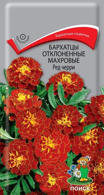 Бархатцы отклоненные махровые РЕД ЧЕРРИ 0,3гр. (Поиск)