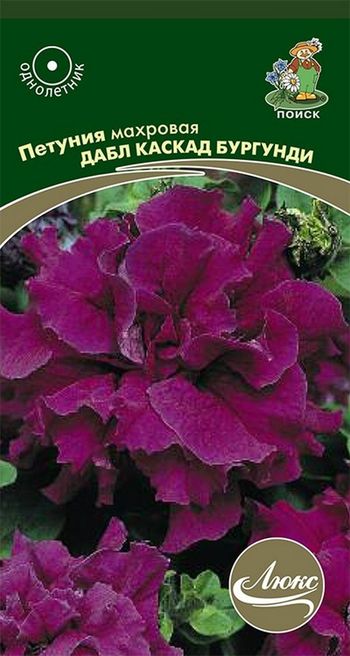 Петуния махровая ДАБЛ КАСКАД БУРГУНДИ 10шт. (Поиск)