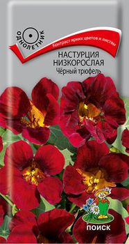 Настурция низкорослая ЧЕРНЫЙ ТРЮФЕЛЬ 1,0гр. (Поиск)