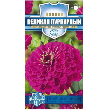 Цинния ВЕЛИКАН пурпурный 0,3гр. (Гавриш)