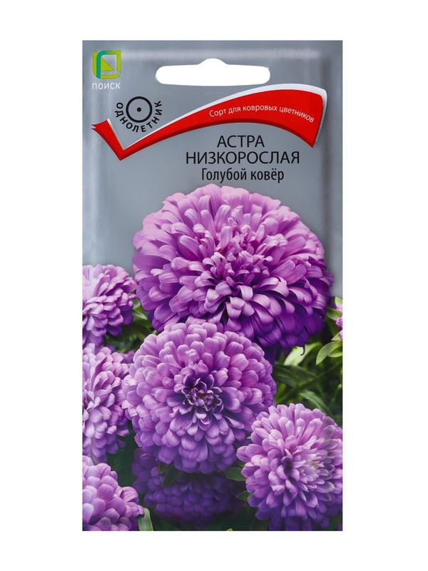 Астра Низкорослая ГОЛУБОЙ КОВЕР 0,2гр. (Поиск)