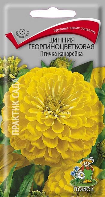 Цинния георгиноцветковая ПТИЧКА КАНАРЕЙКА 0,4гр. (Поиск)