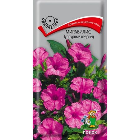 Мирабилис ПУРПУРНЫЙ ЛЕДЕНЕЦ 1,0гр. (Поиск)