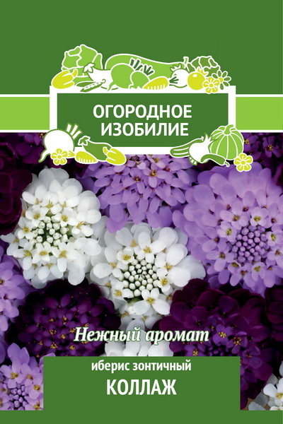 Иберис зонтичный КОЛЛАЖ 0,5гр. (Огородное изобилие) (Поиск)